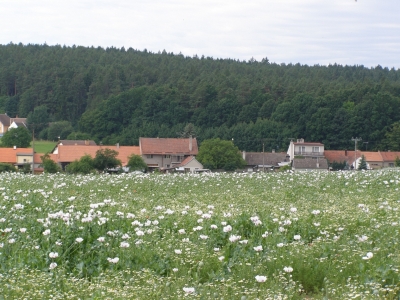 Naše obec