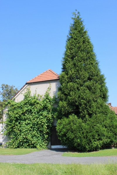 Naše obec 